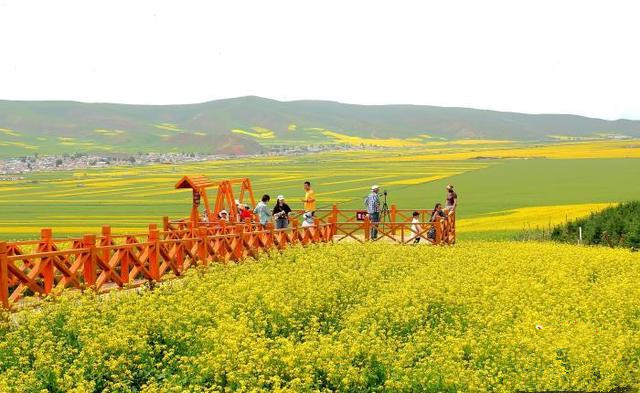 青島推動(dòng)文旅項(xiàng)目多領(lǐng)域、多業(yè)態(tài)、多層次發(fā)展