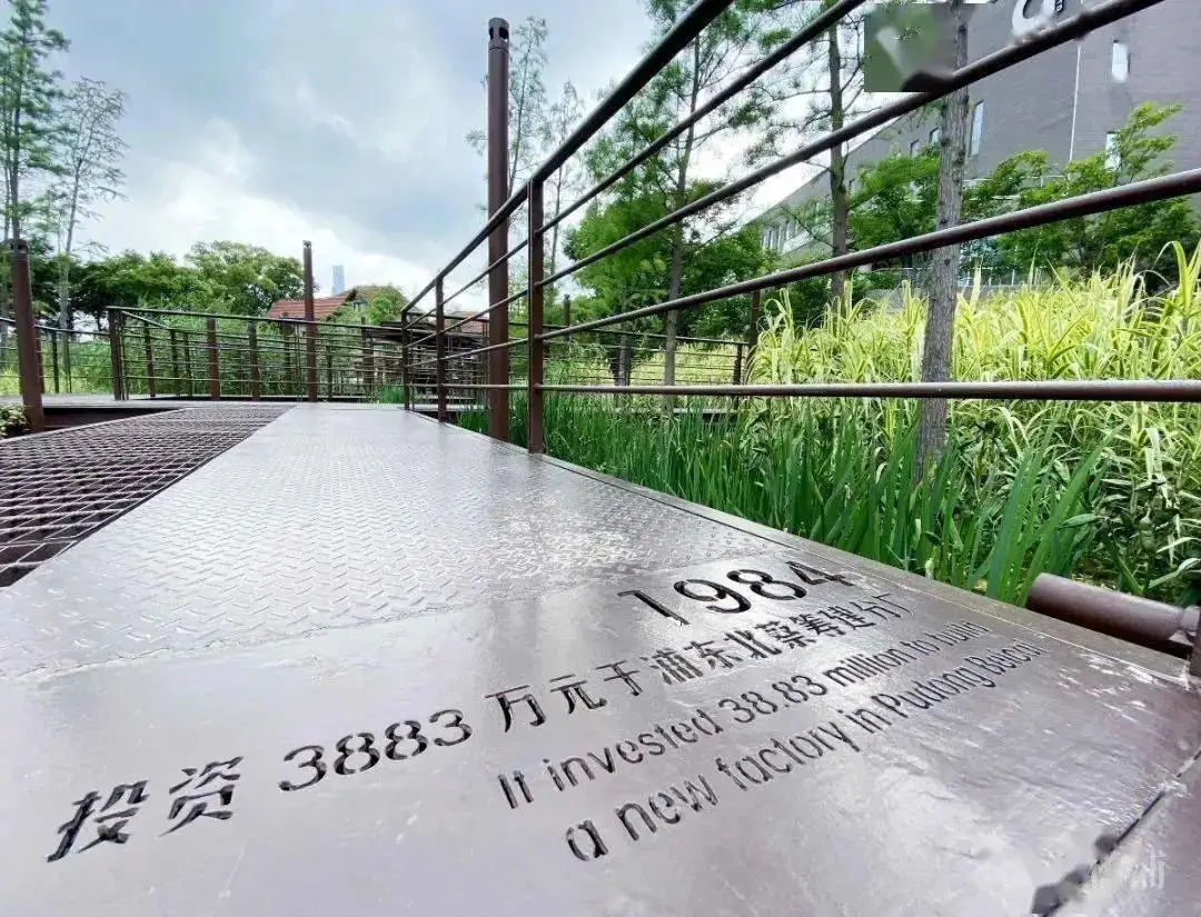 5.5公里楊浦濱江岸線，楊樹浦路變身“露天博物館”