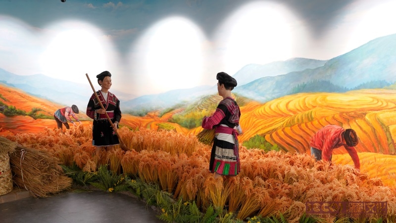 農(nóng)業(yè)科普館設(shè)計(jì)如何解釋農(nóng)藥使用和環(huán)境保護(hù)之間的關(guān)系？