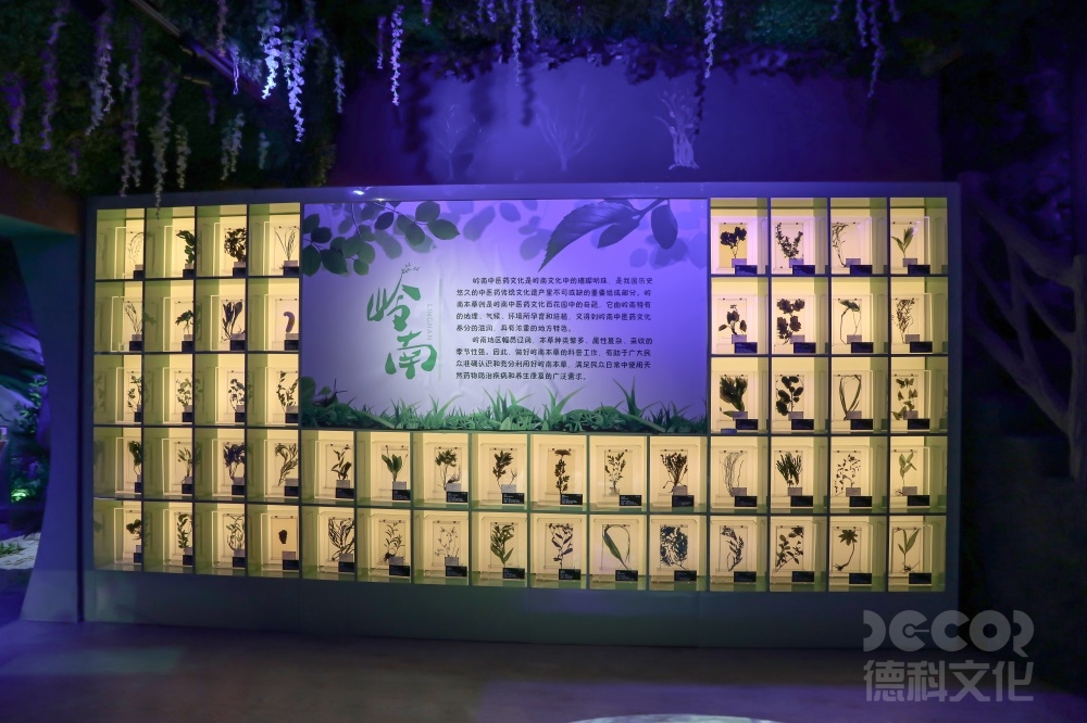 利用現(xiàn)代科技手段展示科學(xué)知識的科普館設(shè)計(jì)